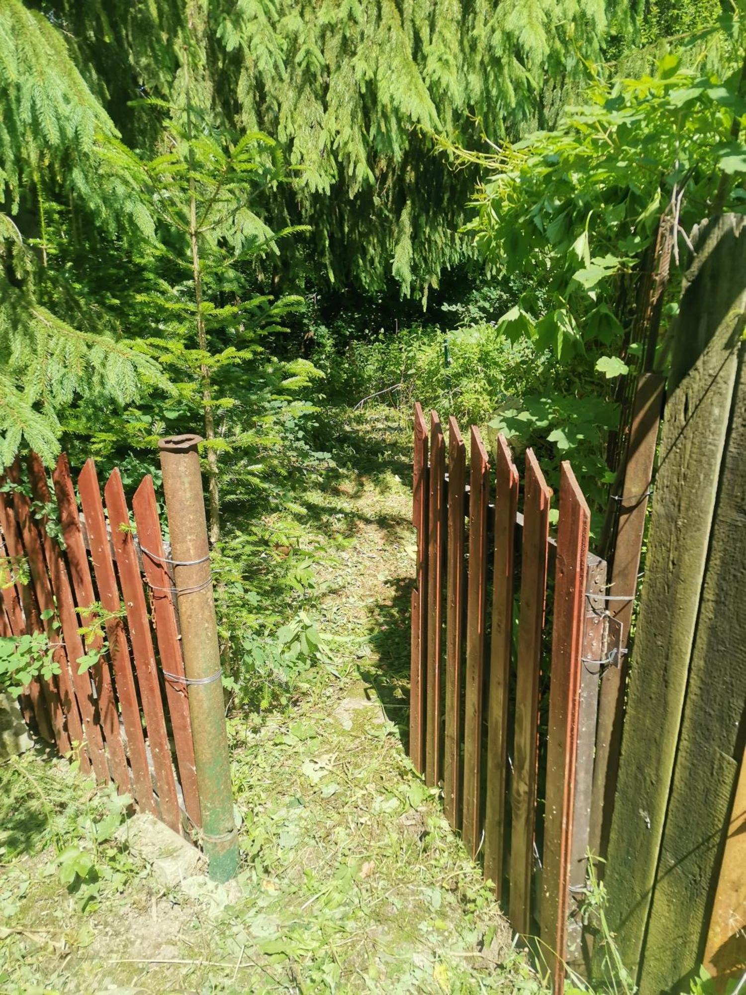 Cosy 2 Rooms Apartment With A View Near The Forest プレデアル エクステリア 写真